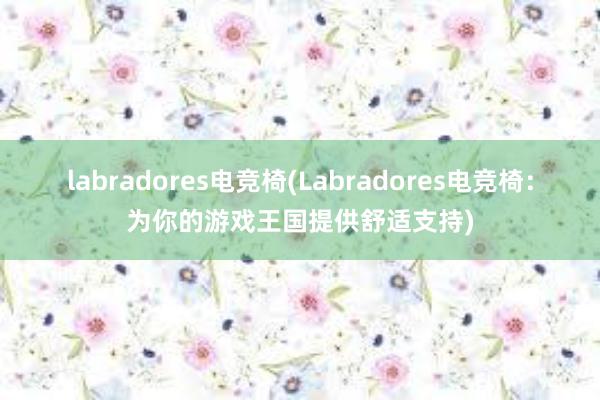 labradores电竞椅(Labradores电竞椅：为你的游戏王国提供舒适支持)