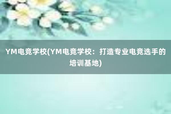 YM电竞学校(YM电竞学校：打造专业电竞选手的培训基地)