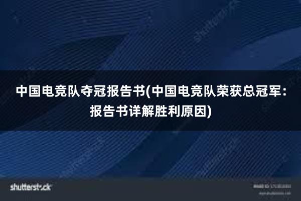 中国电竞队夺冠报告书(中国电竞队荣获总冠军：报告书详解胜利原因)