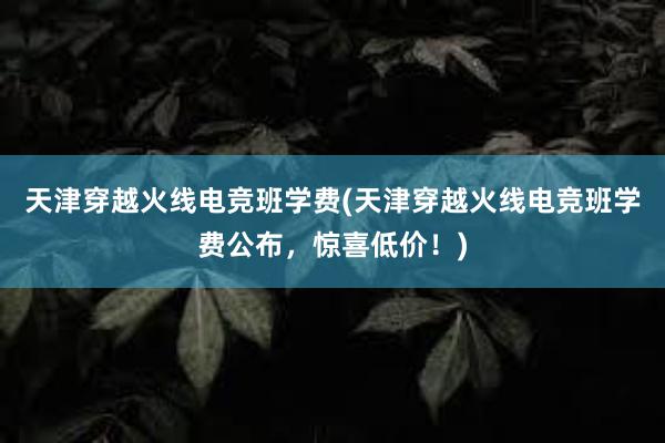 天津穿越火线电竞班学费(天津穿越火线电竞班学费公布，惊喜低价！)