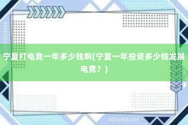 宁夏打电竞一年多少钱啊(宁夏一年投资多少钱发展电竞？)