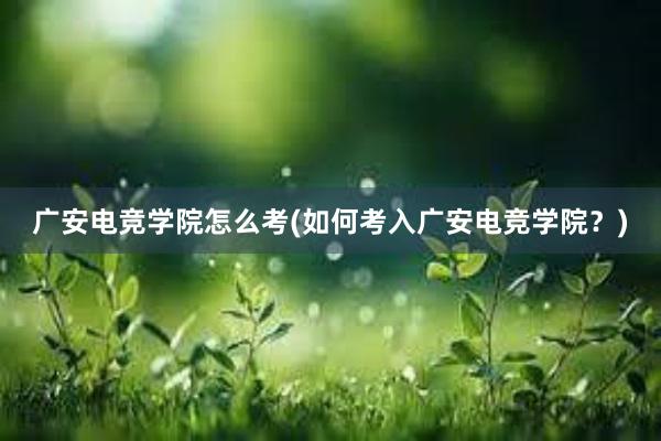 广安电竞学院怎么考(如何考入广安电竞学院？)