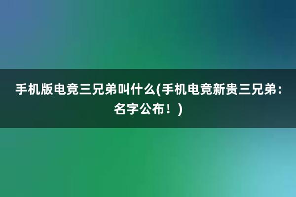 手机版电竞三兄弟叫什么(手机电竞新贵三兄弟：名字公布！)