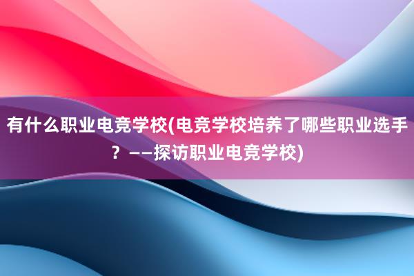 有什么职业电竞学校(电竞学校培养了哪些职业选手？——探访职业电竞学校)