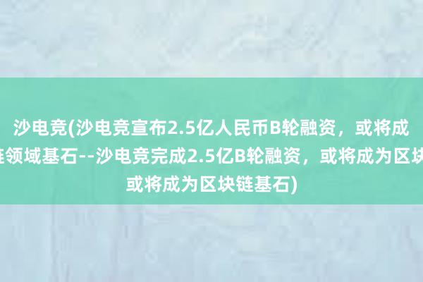 沙电竞(沙电竞宣布2.5亿人民币B轮融资，或将成为区块链领域基石--沙电竞完成2.5亿B轮融资，或将成为区块链基石)