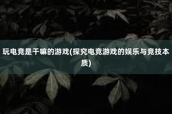 玩电竞是干嘛的游戏(探究电竞游戏的娱乐与竞技本质)