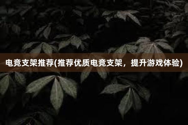 电竞支架推荐(推荐优质电竞支架，提升游戏体验)