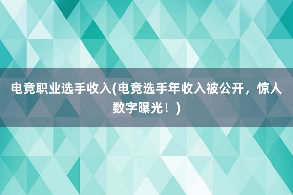 电竞职业选手收入(电竞选手年收入被公开，惊人数字曝光！)