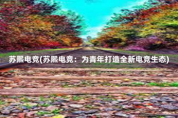 苏熙电竞(苏熙电竞：为青年打造全新电竞生态)