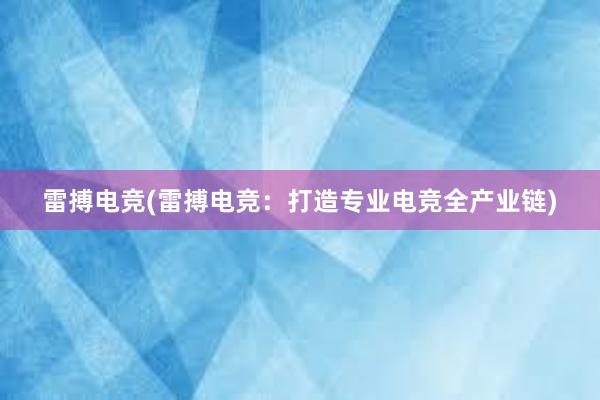 雷搏电竞(雷搏电竞：打造专业电竞全产业链)