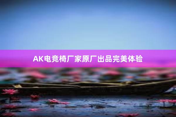 AK电竞椅厂家原厂出品完美体验