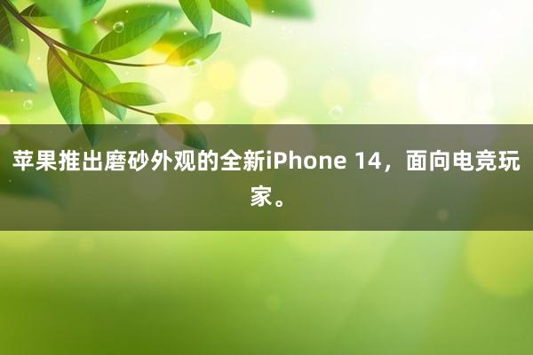 苹果推出磨砂外观的全新iPhone 14，面向电竞玩家。