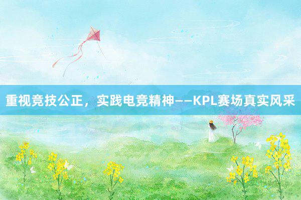 重视竞技公正，实践电竞精神——KPL赛场真实风采