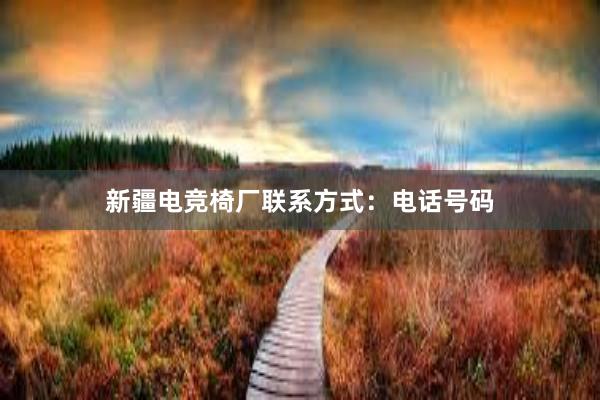 新疆电竞椅厂联系方式：电话号码