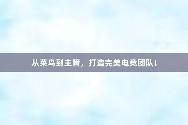 从菜鸟到主管，打造完美电竞团队！