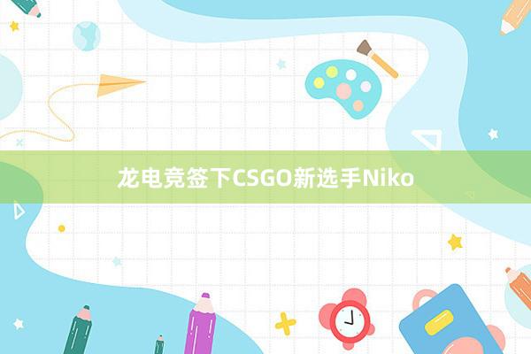 龙电竞签下CSGO新选手Niko